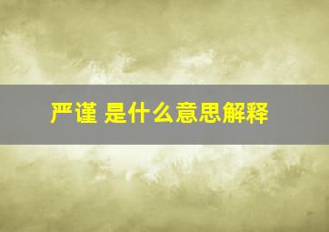 严谨 是什么意思解释